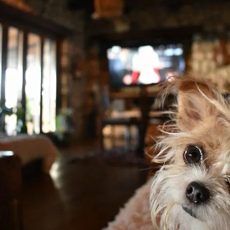 Σαλέ σπιτι στο βουνο *