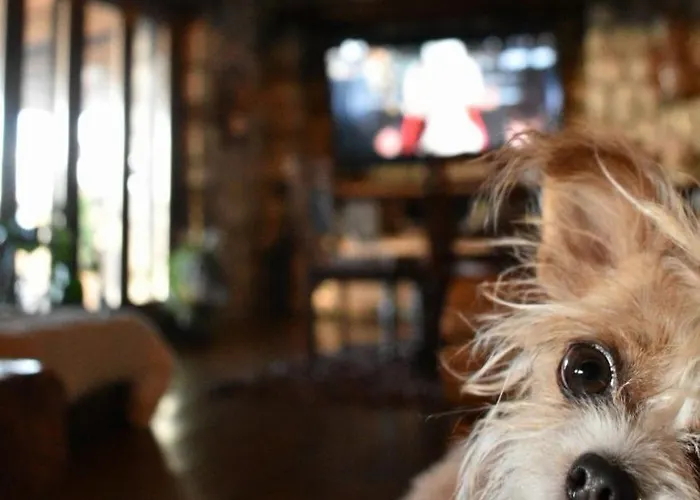 Alpstuga σπιτι στο βουνο *